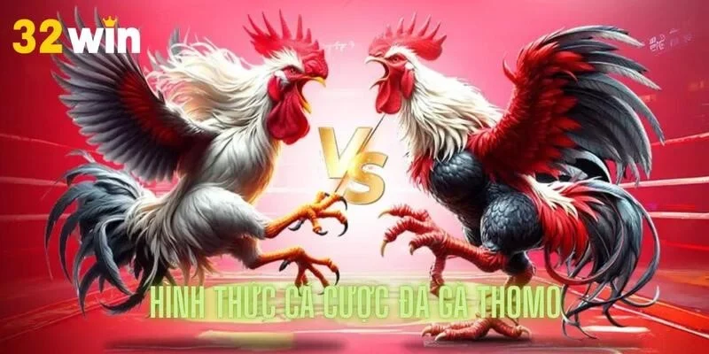 Tổng hợp hình thức cá cược Thomo mà anh em nên biết