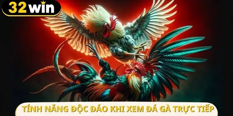 Những tính năng thú vị khi xem đá gà trực tiếp