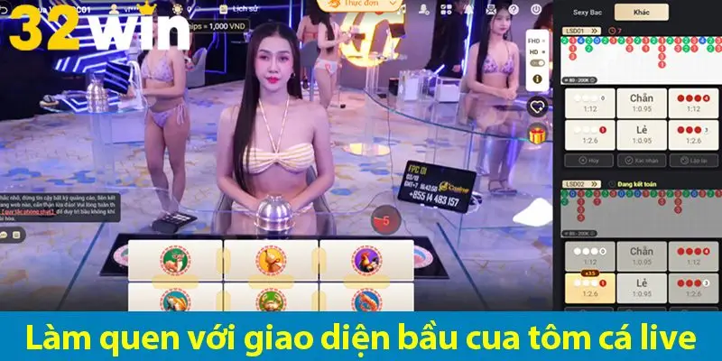 Bí quyết thắng lớn game Bầu Cua live từ dân chuyên nghiệp