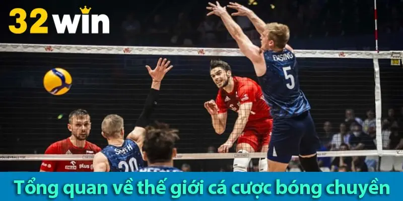 Các loại cược và bí quyết chơi cá độ bóng chuyền hiệu quả 2025
