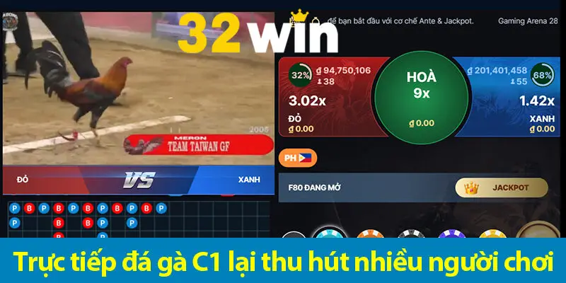 Các chiến lược chơi cá độ đá gà trực tiếp C1 hiệu quả cho bạn